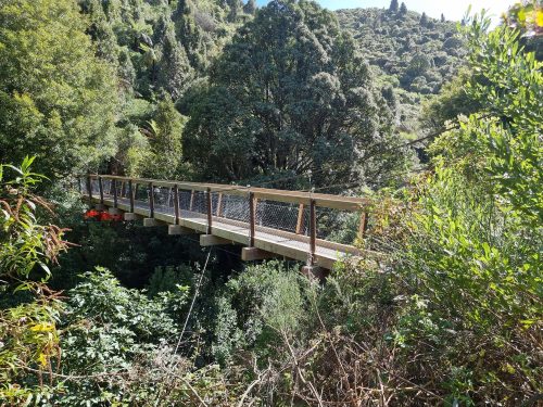 Footbridge with a wooden deck and metal railings crossing over a verdant gorge, with the lush greenery of the forest surrounding it in bright daylight.