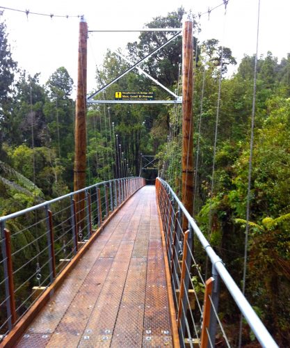 First-person perspective of a narrow suspension bridge for pedestrians, flanked by tall wooden poles and metal cables. A warning sign indicates a maximum load of 10 persons. The bridge deck is wet, suggesting recent rain, and it stretches over a densely forested gorge, conveying a sense of height and immersion in nature.