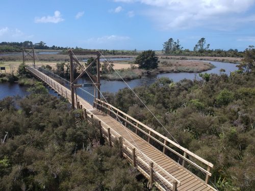 Aerial view of a long suspension bridge with a wooden deck and tall metal towers spanning a river surrounded by lush, diverse vegetation. The river meanders through a scenic landscape flanked by dense bushes and sporadic trees under a clear blue sky.