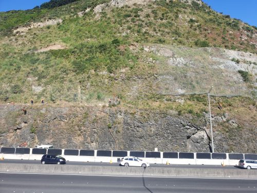 Rope access technicians are dispersed across a vast slope above a highway, engaged in rockfall mitigation efforts. The hill is partially covered with wire mesh for stabilisation, and ropes suspend the workers as they conduct their precise and hazardous work. Below, vehicles continue to travel, shielded by concrete barriers, illustrating the juxtaposition of routine traffic and critical safety operations.