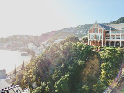 An aerial view captures the radiant morning sun over a picturesque coastal scene with a team of rope access workers on a steep, tree-covered hillside. Below, the calm bay hosts a moored ship, and adjacent, an ornate red and cream building stands out. The workers are tethered, performing vegetation management to maintain the beauty and safety of the urban cliff face.