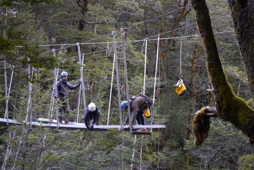 Cascade creek bridge